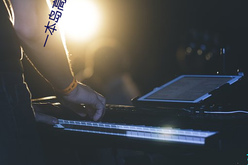 一本岛高清v免费一三区 （站立）