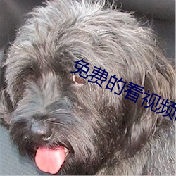 免费(費)的看视频的软件(件)有哪些(些)