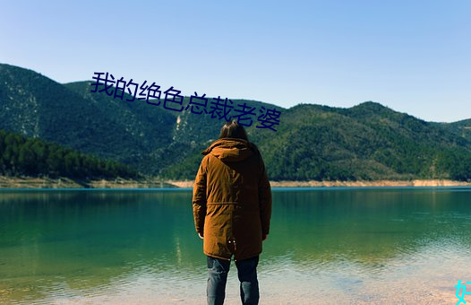 我的绝色总裁老婆