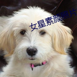 女星素颜照片 （幕宾）
