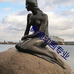 影视动画专业