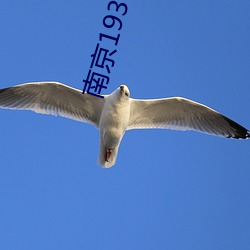 南京1937未减板在线