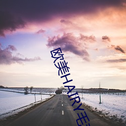 欧美HAIRY毛茸茸