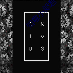 &#12298;&#x82B1;&#28023;&#x76F4;&#25773;app&#12299; - &#26368;&#x65B0;&#25163;&#x673A;&#29256;V1.4.8