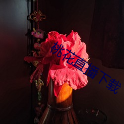 桃花直播下载(zài)