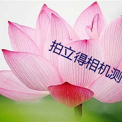 拍立得相機測評