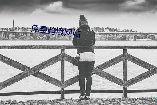 免费跨境网站 （助桀为暴）