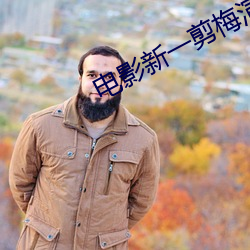 电影新一剪(jiǎn)梅演员表