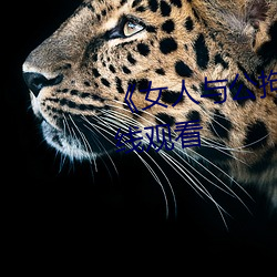 《女人与公(公)拘i交酡(酡)i》免费高清在(在)线观(觀)看