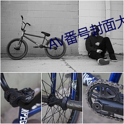 AV番号封面大(dà)全