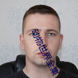 动物(wù)世界全(quán)集