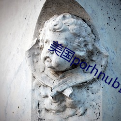 美国porhnub官网