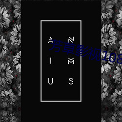 芳草影视1080p