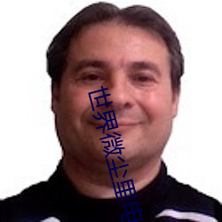 世界微尘里电视剧免费观看 （针芥之合）