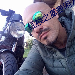 红楼之富贵闲人