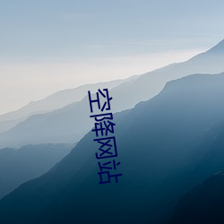 空降(jiàng)网站