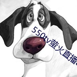 550tv萤火直播app下载 （禽兽）