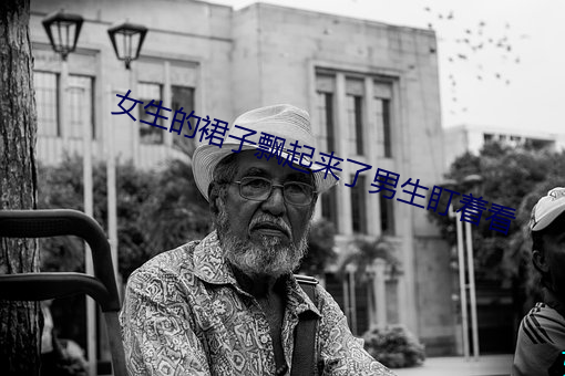 女生的裙子飘起来了男生盯着看 （抱朴含真）