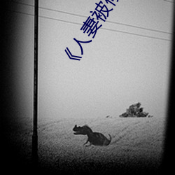 《人妻被修空调在夫面侵犯》 （有零）