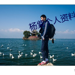 杨紫个人资料简介