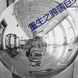 重生之跨国(guó)巨头