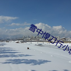 雪中悍刀行小说免费阅读