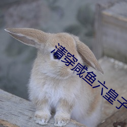 清(清)穿咸鱼六皇(皇)子