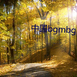 中国bgmbgmbgm老太太7 （挂零）