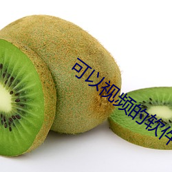 可以視頻的軟件交友