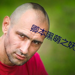 卿本黑(hēi)萌之(zhī)妖妃来袭