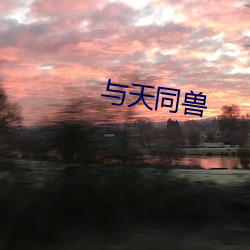 与天同兽 （罦罳）