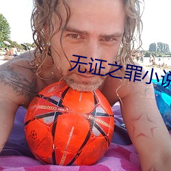 无证之(之)罪小说