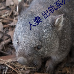 金年会 | 诚信至上金字招牌