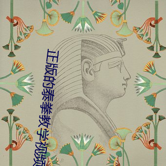 正版的泰拳教学视频