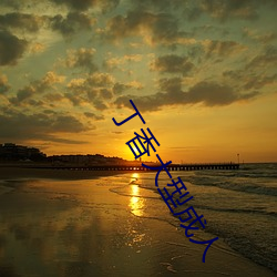 丁香大型成人 （并案）