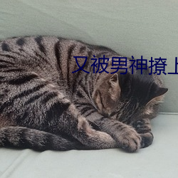 &#x5B81;&#22805;app&#19979;&#x8F7D;&#23458;&#x6237;&#31471; - &#19979;&#x8F7D;&#25163;&#x673A;&#29256;V1.2.5