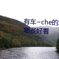 有车(chē)~che的双男主腐(fǔ)肉动画推荐哪些好看