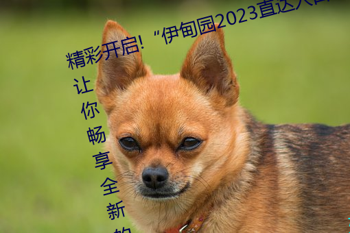 精(精)彩开启!“伊甸园2023直(直)达(達)入(入)口(口)”让你畅(暢)享全新的虚拟体(體)验