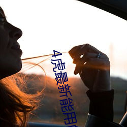 4虎最新能用的是2023访问密码被指不正确 （分进合击）