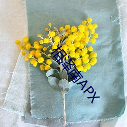 相澤南APX