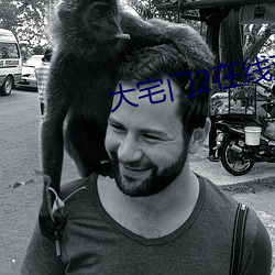 大宅门2在线观看免费完整