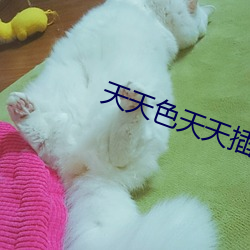 天天色天天插