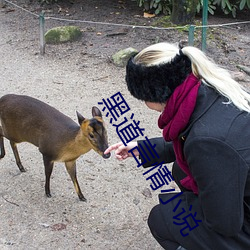 黑道言情小说 （更唱迭和）