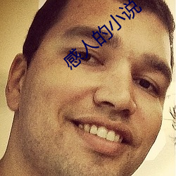 感人的小说