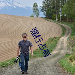 強行占有