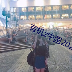 有機z中國2021最新