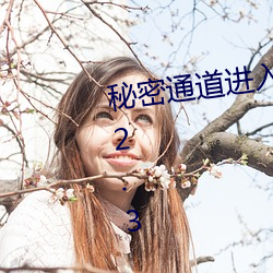 秘密通(tōng)道进(jìn)入地址3秒(miǎo)自动跳转(zhuǎn)v8.2.3