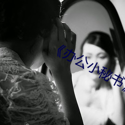 《办公小秘书》中文