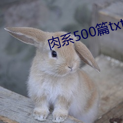 肉系500篇txt