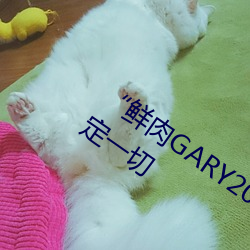 “鲜肉GARY2022跑腿小(xiǎo)哥”帮您快速(sù)搞定(dìng)一切